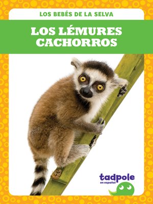 cover image of Los lémures cachorros (Lemur Pups)